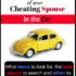 Spy Gadgets Review: Catch a Cheating Spouse 007 Style